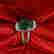 item-81027167=2