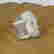 item-135149370=9