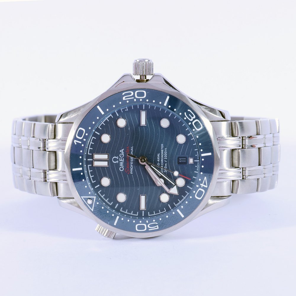 Omega Seamaster Professional Watch (1 of 3)