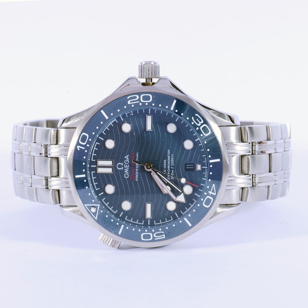 Omega Seamaster Professional Watch (1 of 3)