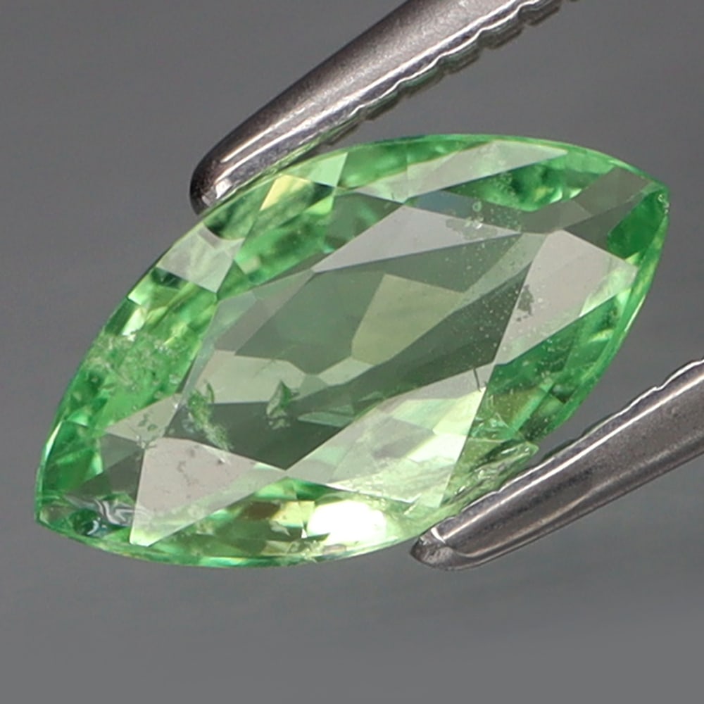 HGL Certified 0.74 ct. Tsavorite Garnet - TANZANIA (1 of 1)