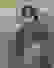 item-62570459=3