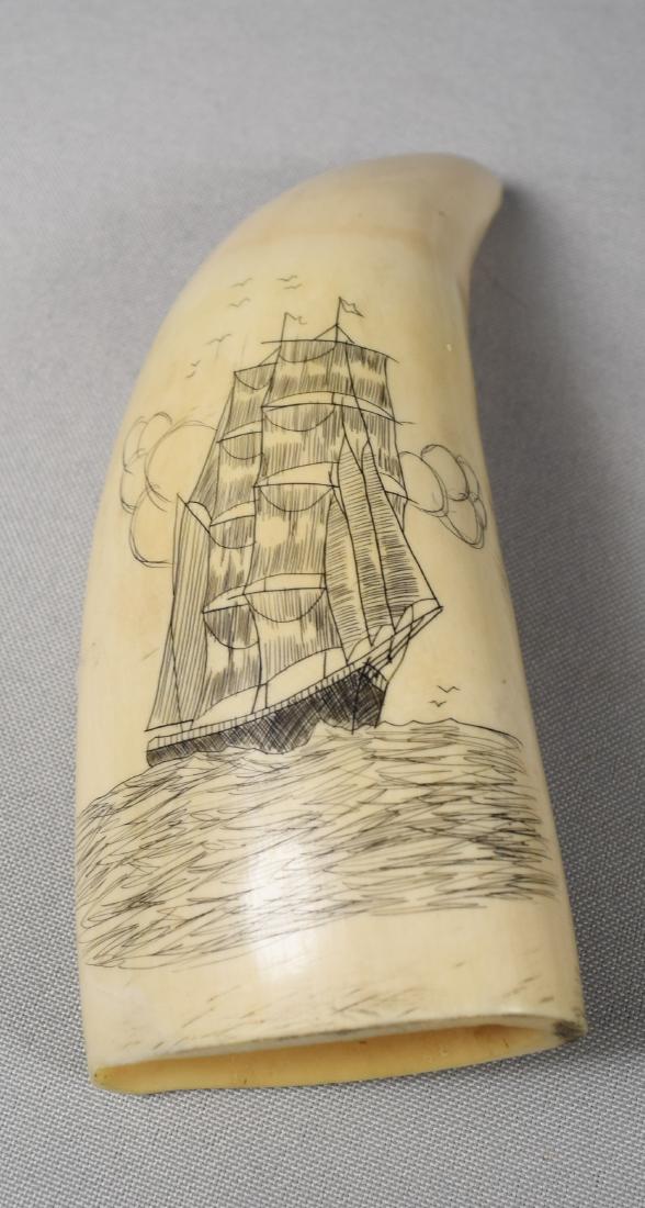 SCRIMSHAW WHALE TOOTH:: Schooner with full sails. 5 ¼ inches long. Approximately 230 grams.