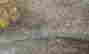 item-70582498=6