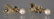 PAIR OF 18KT YELLOW GOLD, SAPPHIRE, DIAMOND & PEARL