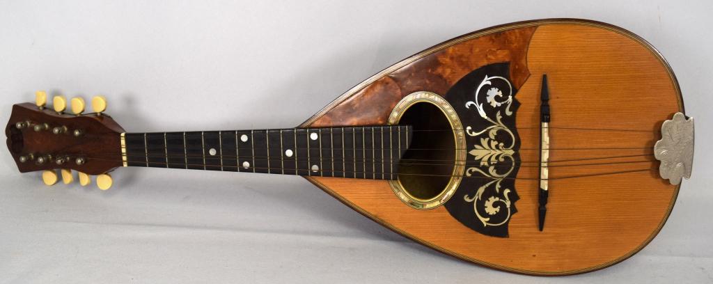 1920 VEGA COMPANY BOSTON MANDOLIN (1 of 5)