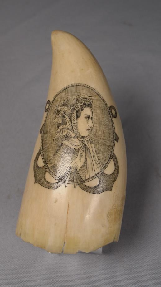 19TH DOUBLE SIDED SCRIMSHAW WHALE'S TOOTH: Fine scrimshaw portrait of a young woman in a flowered bonnet and scarf, oval frame with double anchor mount. Reverse with a detailed rendering of a three mast ship at sea, oval with frame with double