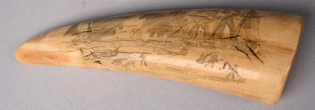 19TH C DOUBLE SIDED SCRIMSHAW WHALE'S TOOTH:: Detailed scene with three mast ship, whale boats, whalers and seals. Reverse with oval framed scene of six whalers floggin a whale on the shore. Measures approximately 7 inches long. registered #544. 