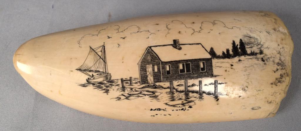 LARGE SCRIMSHAW WHALE'S TOOTH FISH SHANTY:: Large whale's tooth with detailed scrimshaw depicinting a fish shanty with sail boat off shore. Measures 7 inches long. Approximately 585 grams. Registered #272. Good condition.