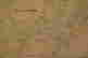 item-109035220=11