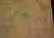 item-109035220=12
