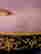 item-130612577=16