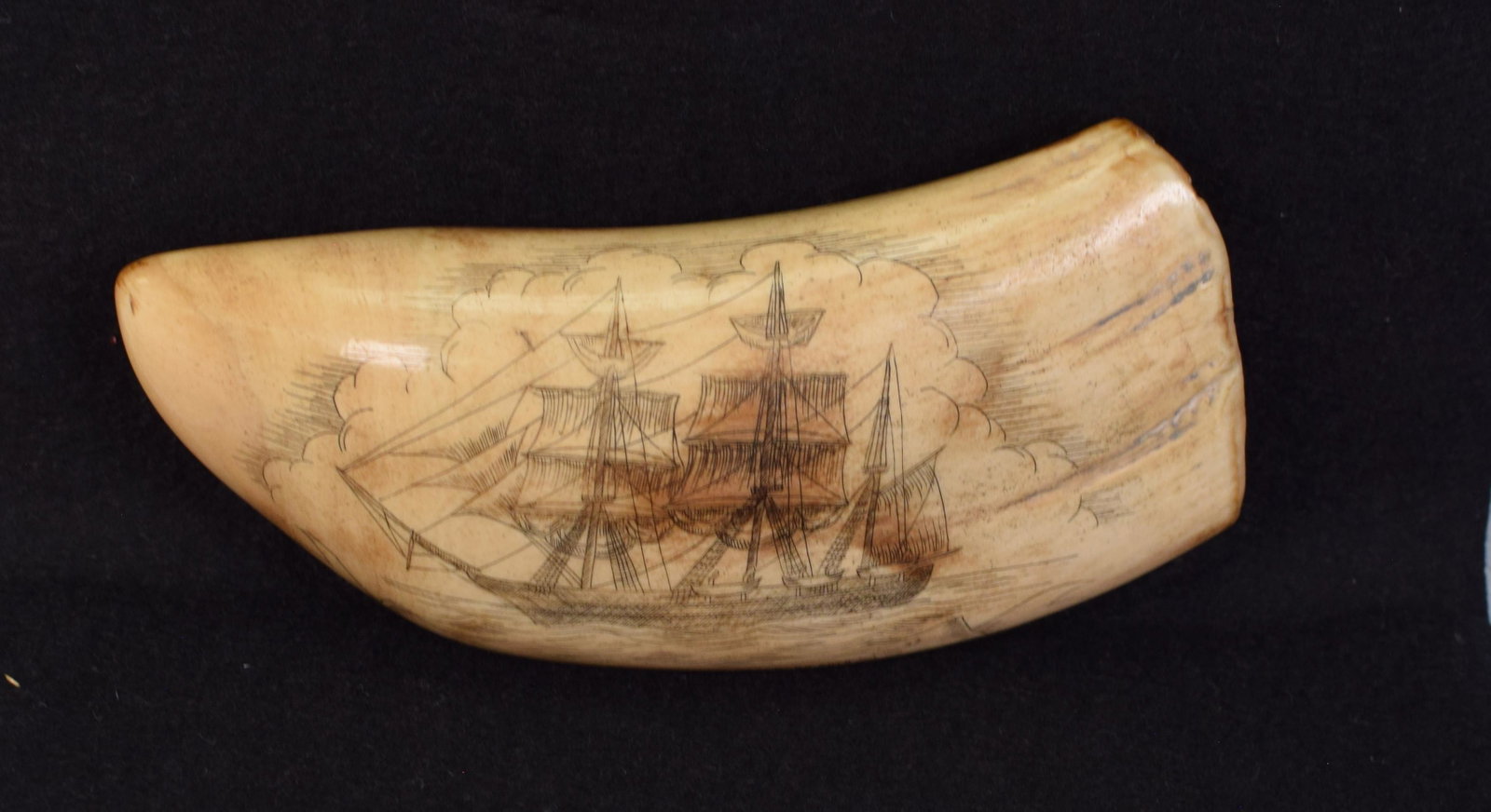 DOUBLE SIDE SCRIMSHAW WHALE TOOTH: Wide scrimshaw whale tooth depicting whaling bark "Greyhound", other with whale boat in hunt scene. 5 1/4 inches. Small chips on inside tooth. Good condition.