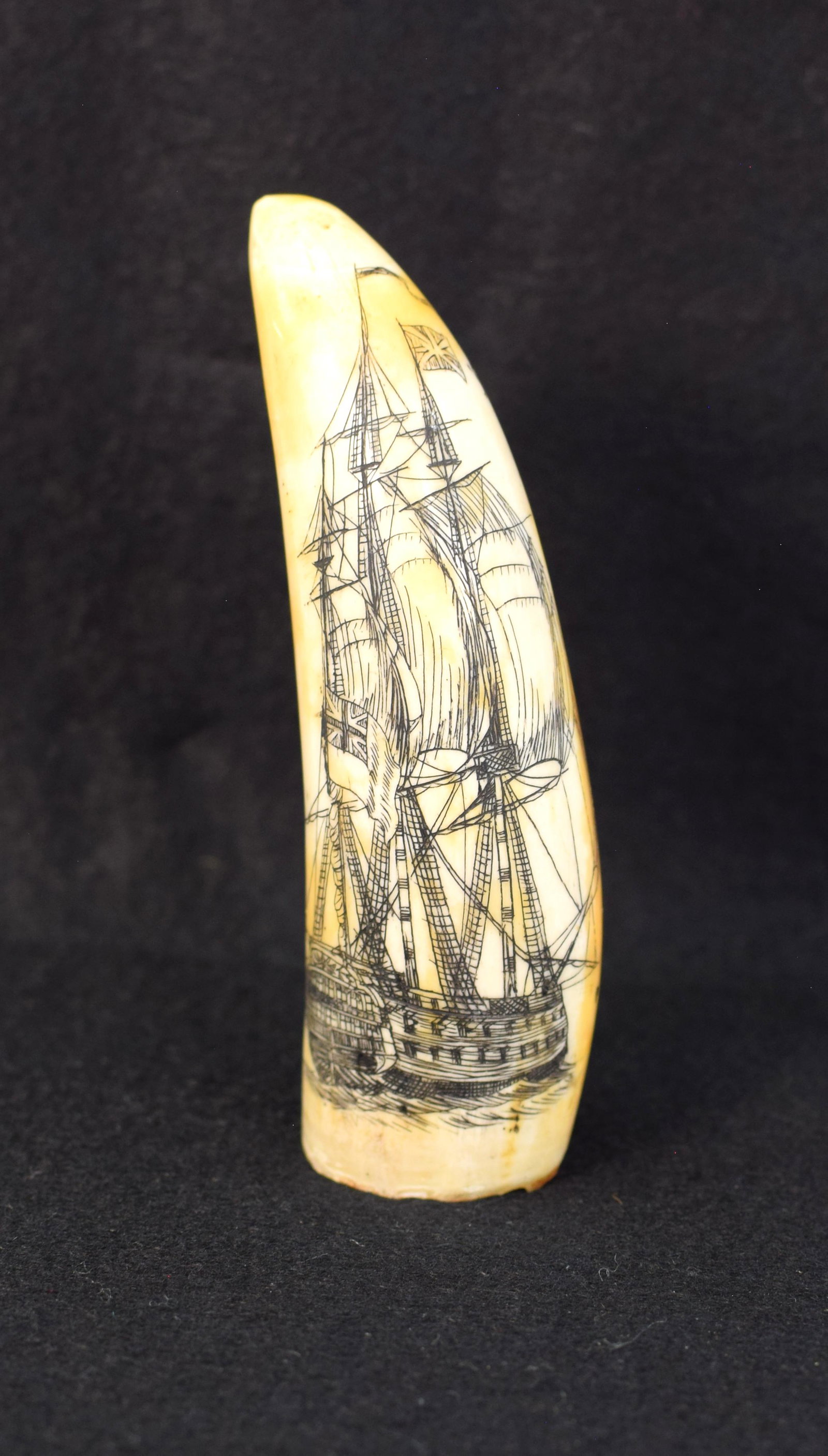 SCRIMSHAW BRISTISH WARSHIP WHALE TOOTH: Fully rigged. Flying British flag. 4 1/2 inches long. Decorated one side. 136 grams. Good condition.