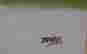 item-148828371=4