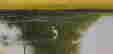 item-148828371=5