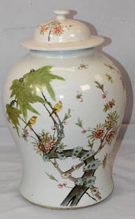 19TH CHINESE WHITE PORCELAIN GINGER JAR: 19/20th century Chinese white porcelain ginger jar, good condition, Decorated with birds among a tree thats blossoming flowers, script on cover, spider crack on bottom, Jar 16 inches tall x 10inches w