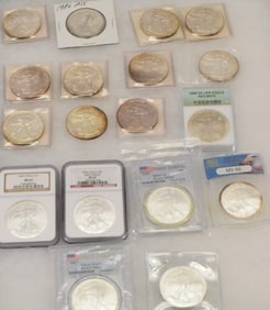 18 US SILVER EAGLES