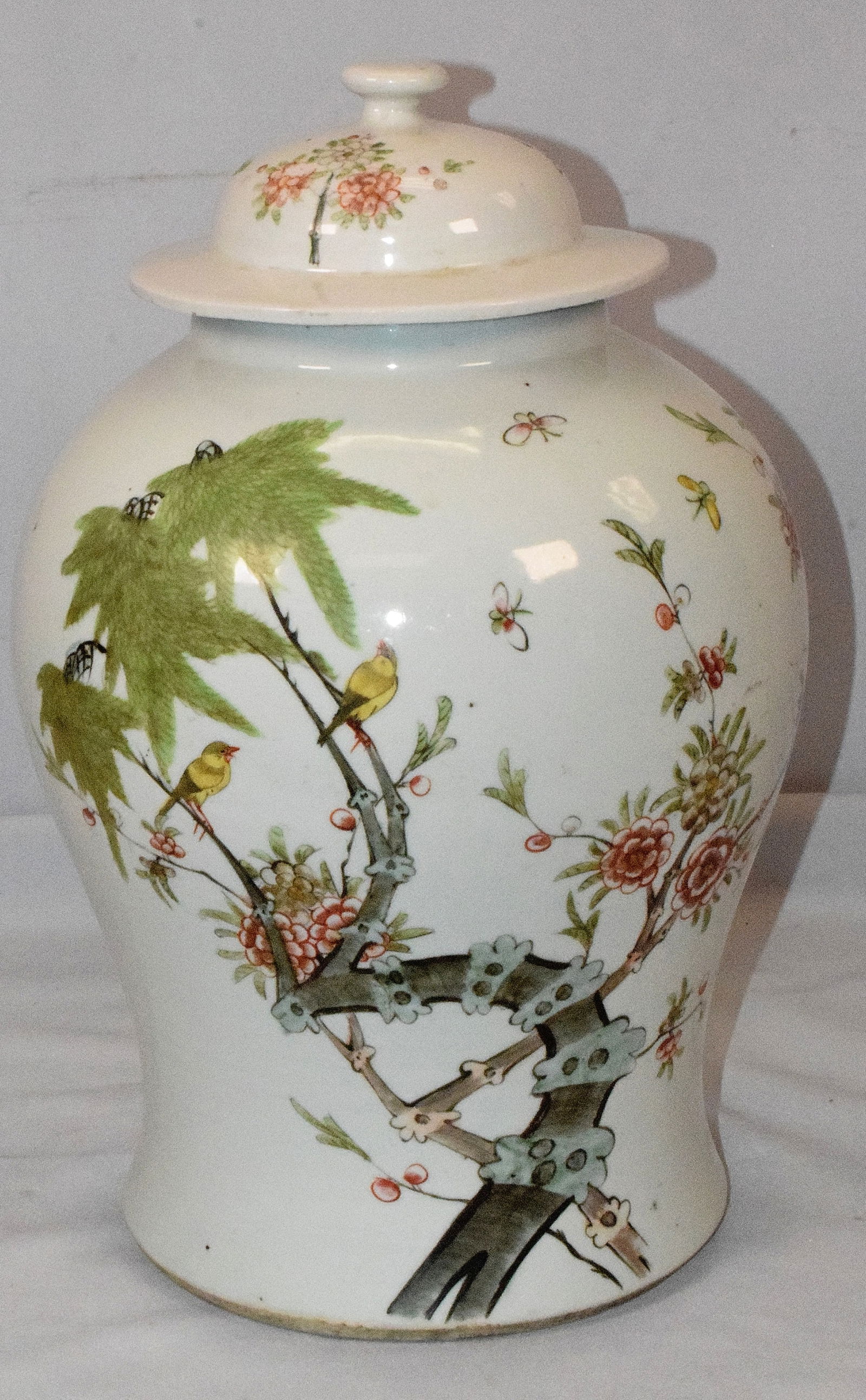19TH CHINESE WHITE PORCELAIN GINGER JAR (1 of 11)