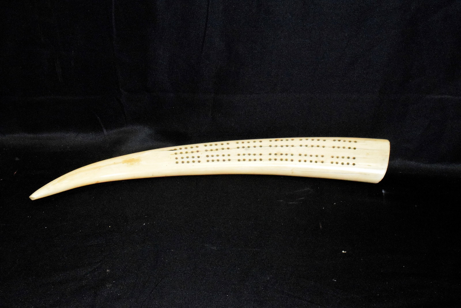 WALRUS TUSK CRIBBAGE BOARD (1 of 3)