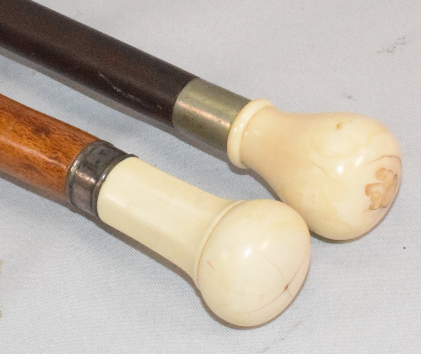 (2) BONE TOP WALKING STICKS - 3
