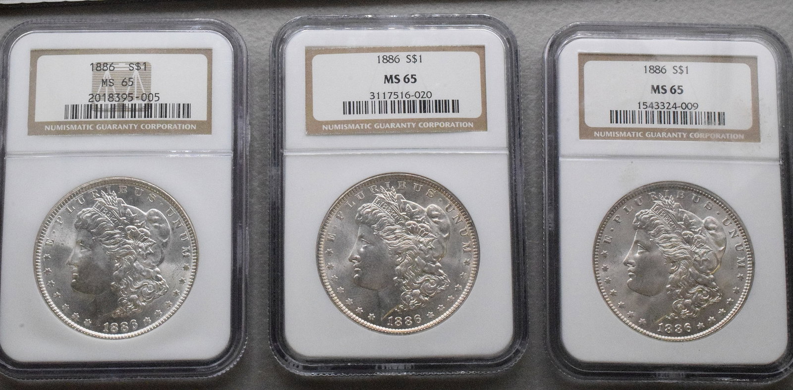3 GRADED US SILVER MORGAN DOLLARS, 1886s: 3 each graded MS-65. All dated 1886s. White's Auctions will not take credit cards on gold jewelry, gold coins, silver or bullion and does not grade coins
