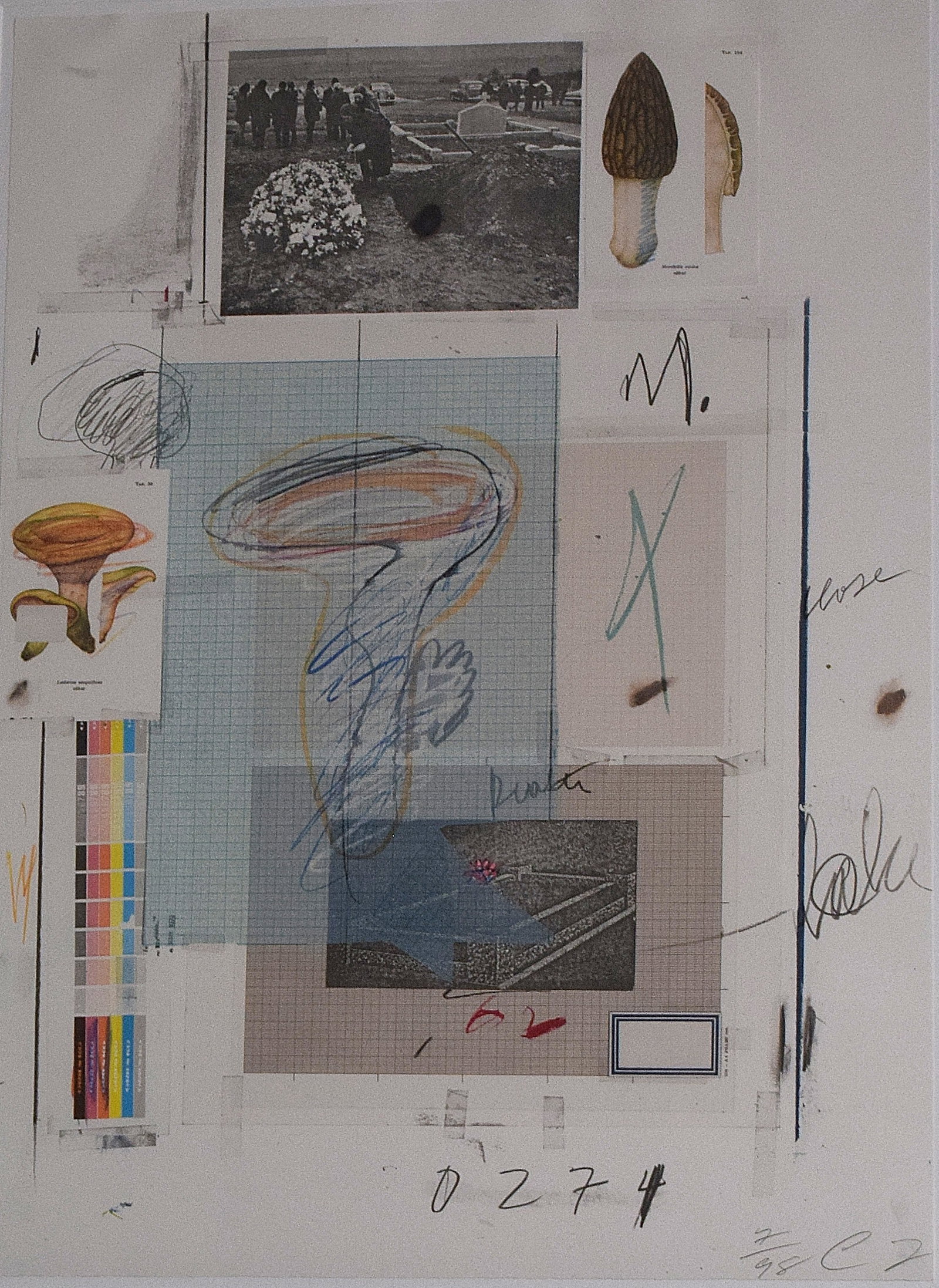 CY TROMBLY LITHO NATURAL HISTORY Part 1 1974: Cy (Edwin Parker) Trombly (1928-2011). Natural History Part i, Mushrooms: No. V11. Color lithograph with mixed media collage and hand additions in crayon on paper. No. IV of series of10. Hand signed