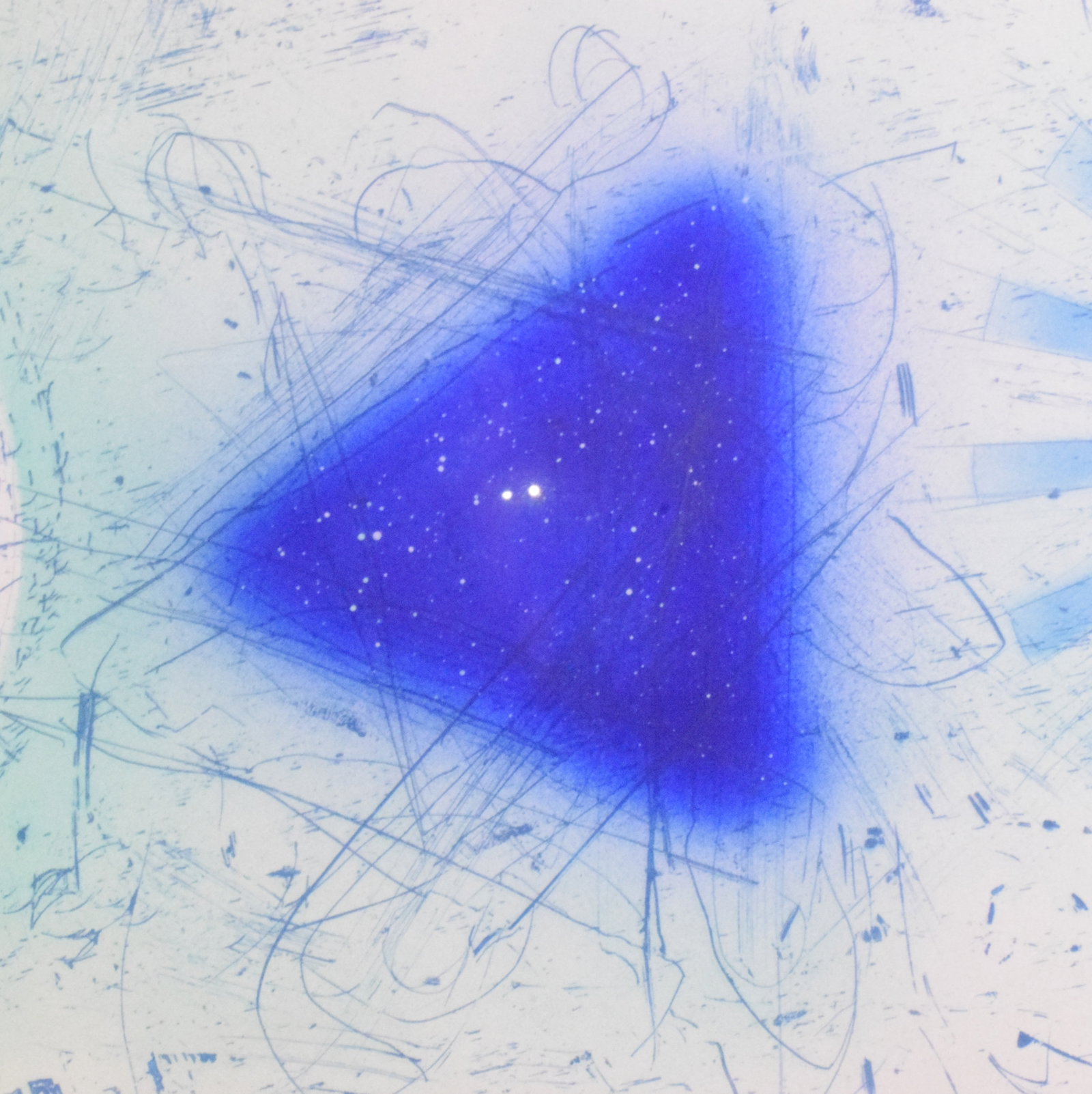 JAMES ROSENQUIST ETCHING "RINSE" 1978 - 10