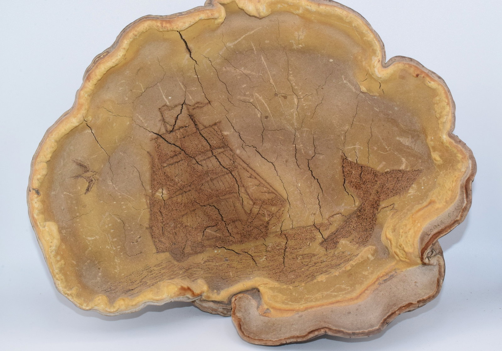 WHALING SCRIMSHAW or ETCHED FUNGUS TREE CONK: Ca 19th/20th Folk art etched or scrimshawed fungus art. Detail maritime of Whaling ship with whale. 11 inches wide x 9 1/2 inches tall. Good condition.