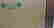 item-108436505=5