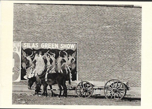 Vintage Postcard Mule Team and Poster Photo by Walker E: Vintage Postcard Mule tam and Poster Photo by Walker Evans Alabama 1936.Size: 4 1/4 x 6 inches. Good Vintage condition.See Photo.We pack & Ship for you. We take care of the shipping services in house.