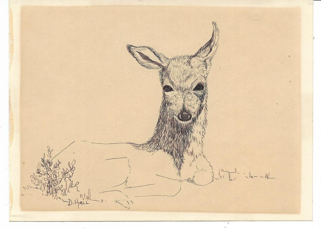 Deer Art Painting by Doris Hall Pen. Coral Cables: Deer Original Art Painting by Doris Hall Pen. Coral Cables Art Club .Size: 5x7 inches