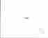 item-121683544=2