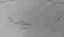 item-128781901=4