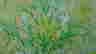 item-130249325=2
