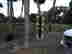 item-131611578=4