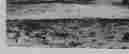item-131611624=3