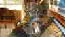 item-131611685=4