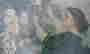 item-131611702=5