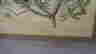 item-133270435=3