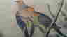 item-133270436=4