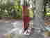 item-133270719=3