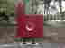 item-133270719=7