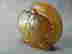 item-135932911=3