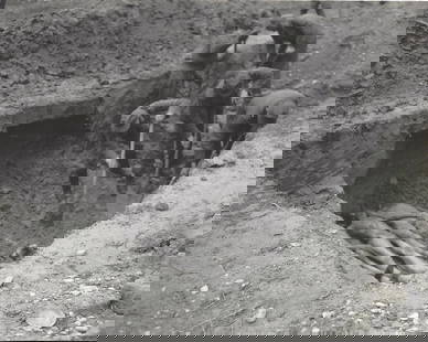 WWII US Army Photo German POWs Dig Up Bodies Of Jews Fr: WWII US Army Photo German POWs Dig Up Bodies Of Jews From Death Camp Mass Grave.. Photo size: 10 x 8 inches. Provenance: New York-Based Photography Collector & Curator -Collection of Rare Photographs.