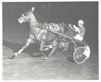 July 29 1974 Harness Racing Press Photo Horse "Nero" Vernon Downs