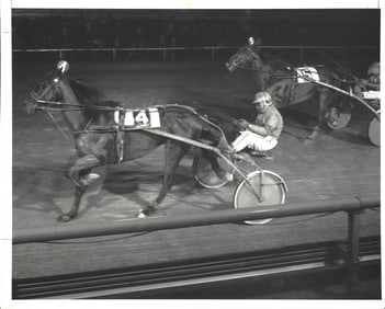 1979 Harness Racing Photo Horse "Super Spur" Barry Drury