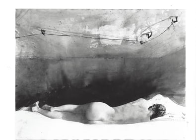 1988 Photo "Barracoon" by Andrew Wyeth at The Museum of Fine Arts, Houston