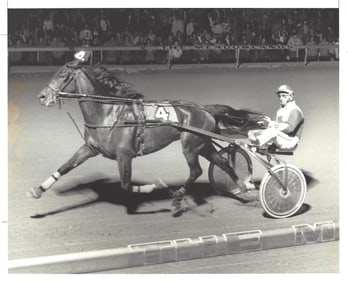 1980 Harness Racing Photo Horse "Super Spur" The Meadowlands NJ