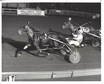 February 4 1982 Harness Racing Photo Horse "Summer Shade" Hollywood Park